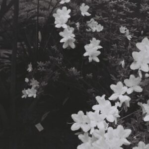 Sofia Tudela - SENSATIONS (Photo Print )