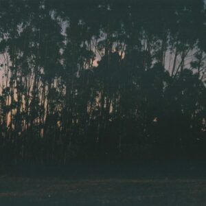 Untitled (Sofia Tudela)