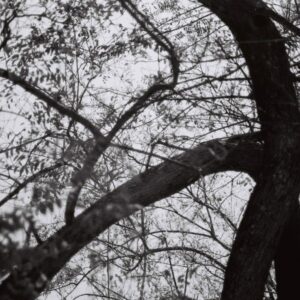 Untitled (sofia Tudela)